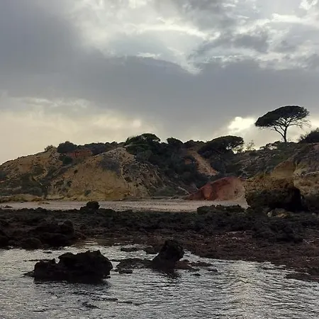 Jeannie's Oura Estrela * Albufeira