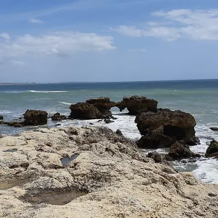 Jeannie's Oura Estrela