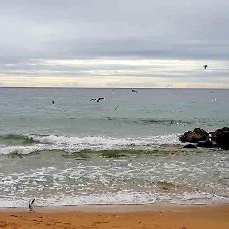 Jeannie's Oura Estrela * Албуфейра