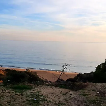 Jeannie's Oura Estrela Albufeira
