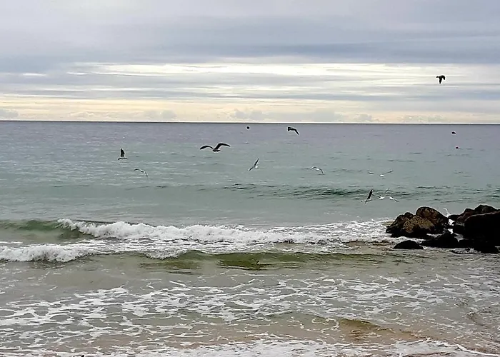 Jeannie's Oura Estrela * Албуфейра