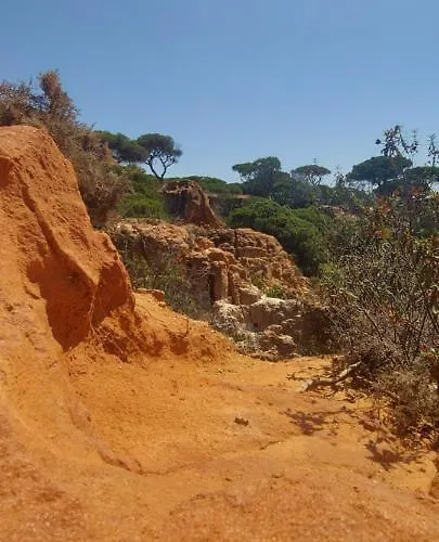 Апартаменти Jeannie's Oura Estrela Албуфейра