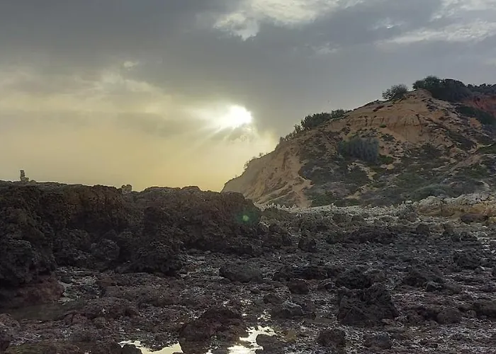 Jeannie's Oura Estrela