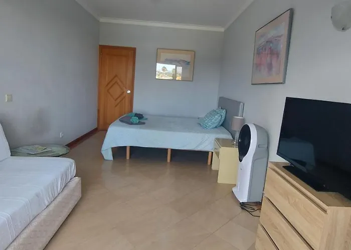 Jeannie's Oura Estrela