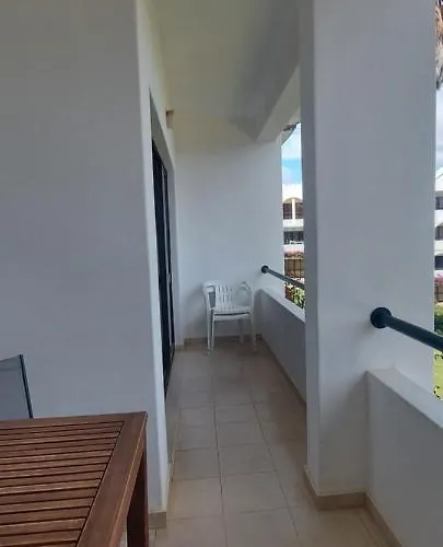 Jeannie's Oura Estrela