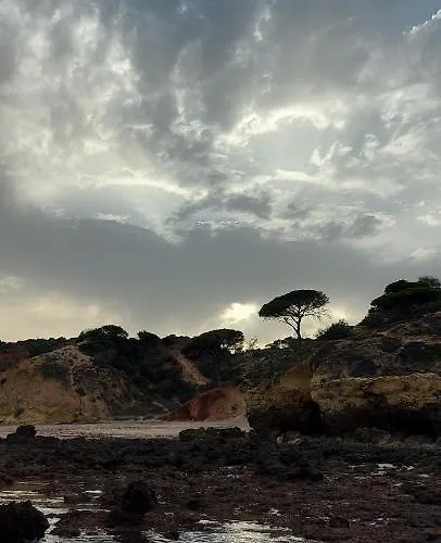 Jeannie's Oura Estrela Апартаменти *