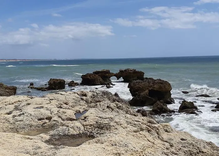 Jeannie's Oura Estrela