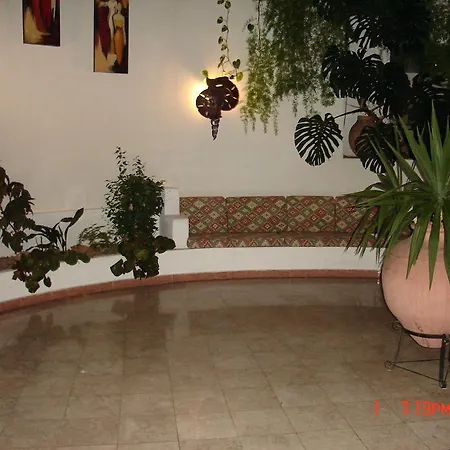 Jeannie's Oura Estrela Daire Albufeira