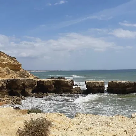 Jeannie's Oura Estrela Daire *