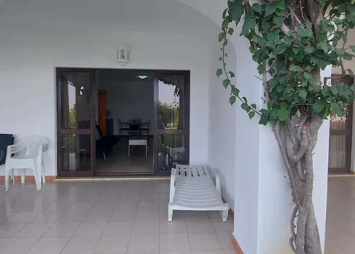 Jeannie's Oura Estrela