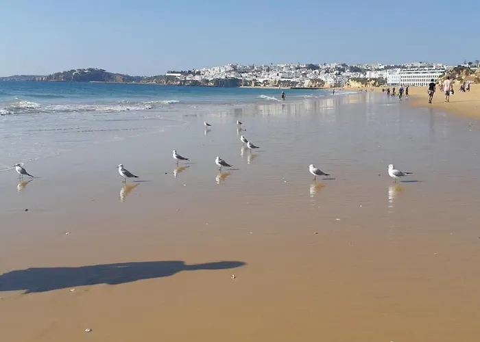 Jeannie's Oura Estrela Albufeira